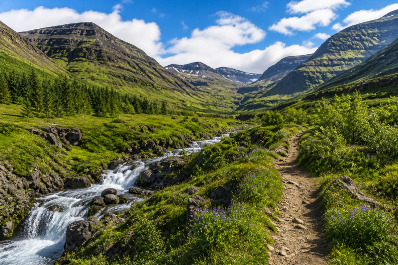 Brynjudalur