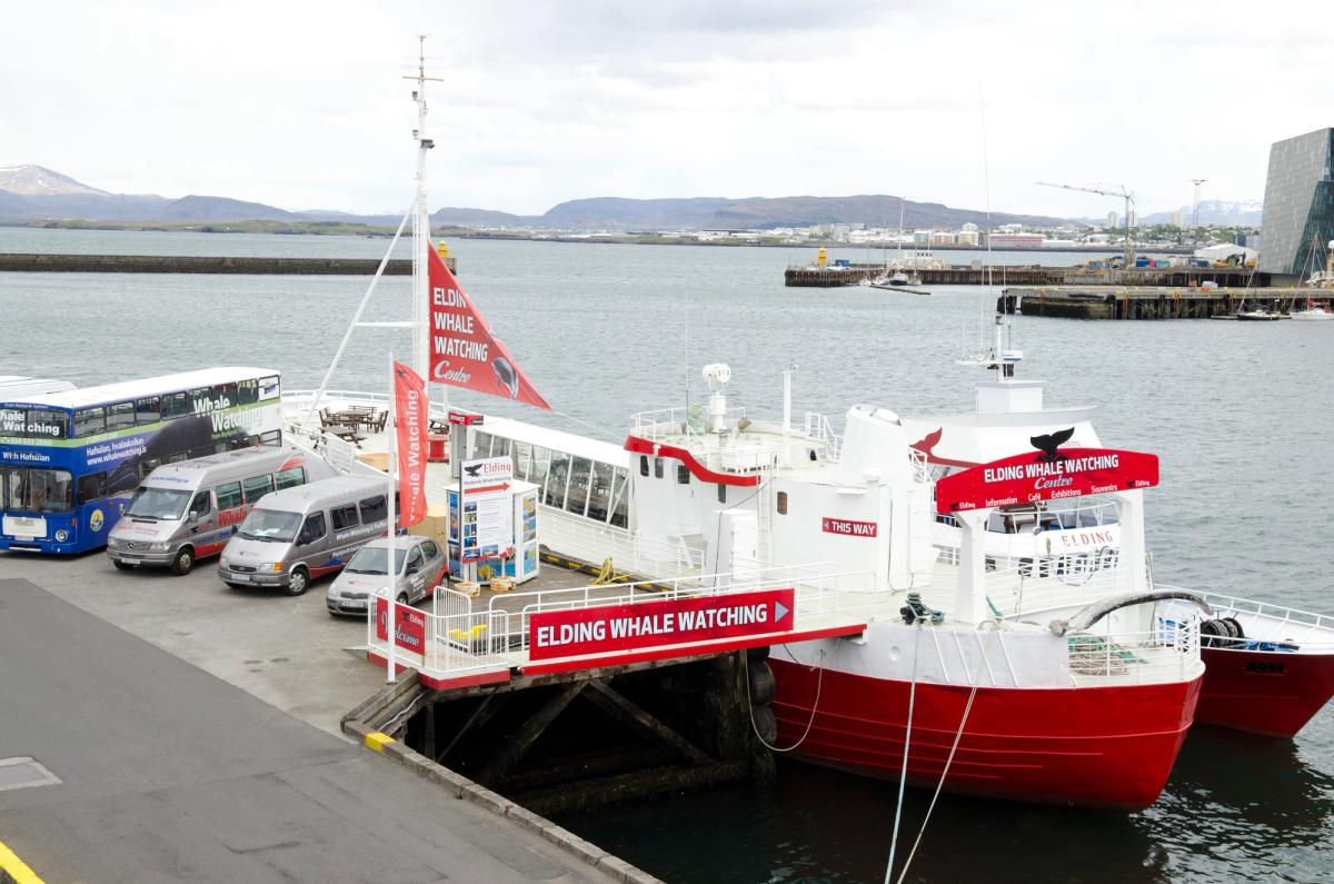 Elding’s Whale Watching Centre