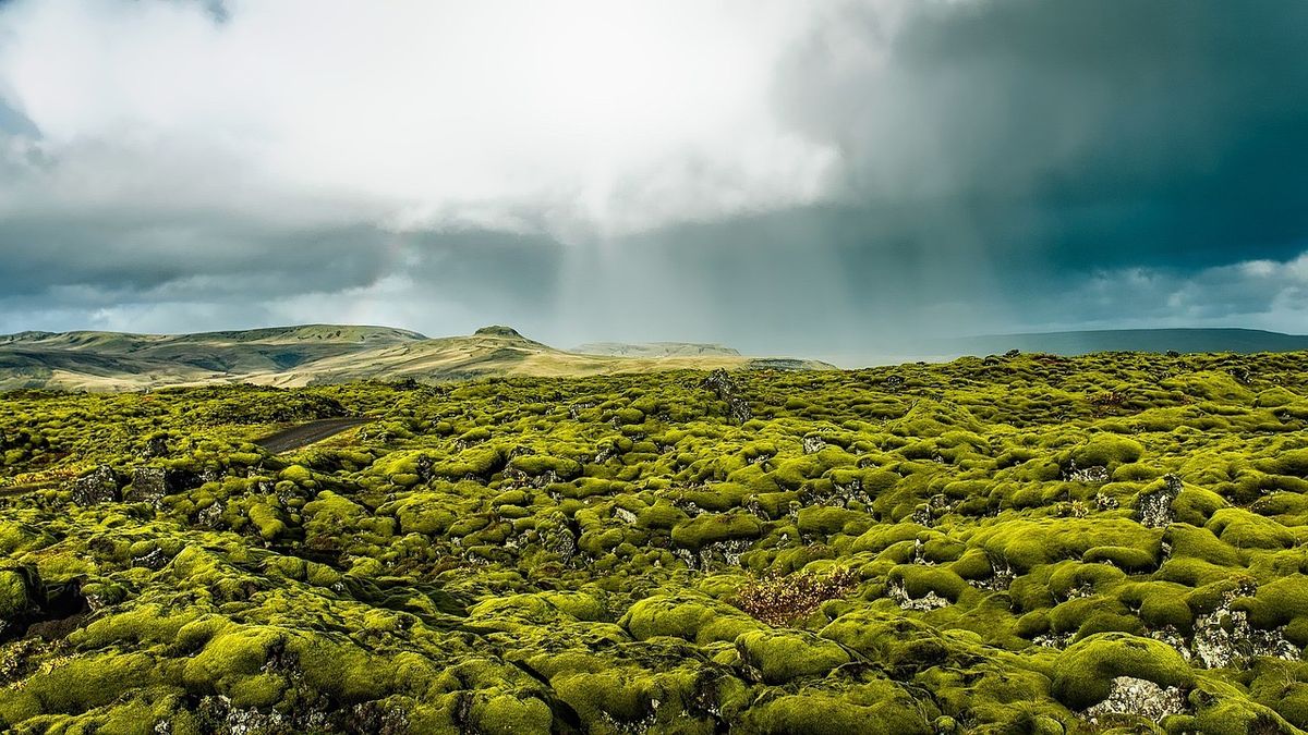Campo de Lava de Eldhraun in south-iceland