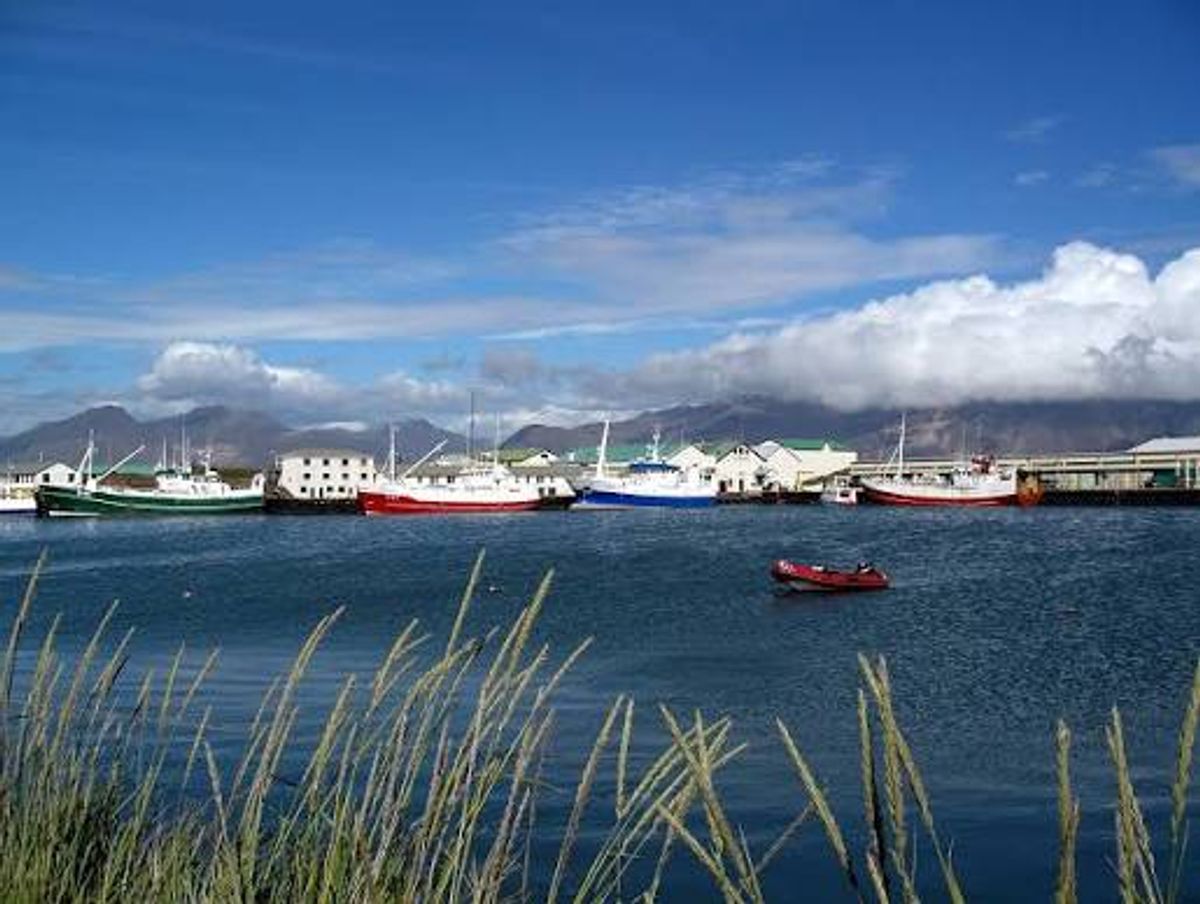 Höfn in east-iceland — photo 2