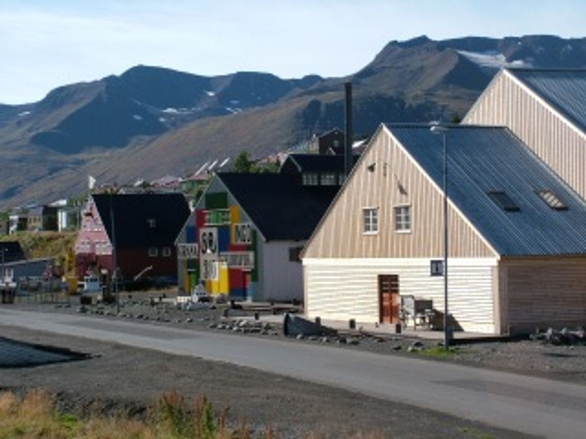 Herring Girl