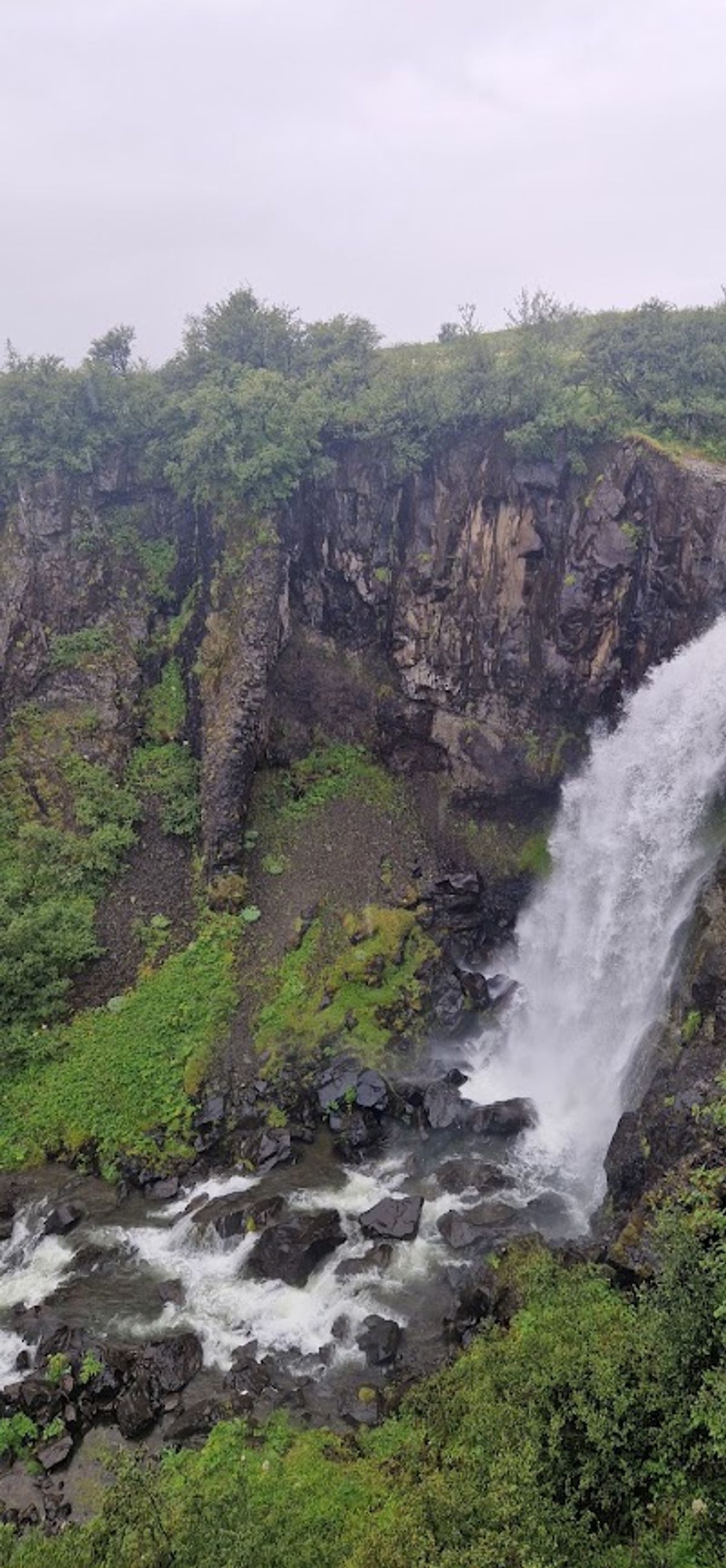 Svartifoss in south-iceland — photo 1
