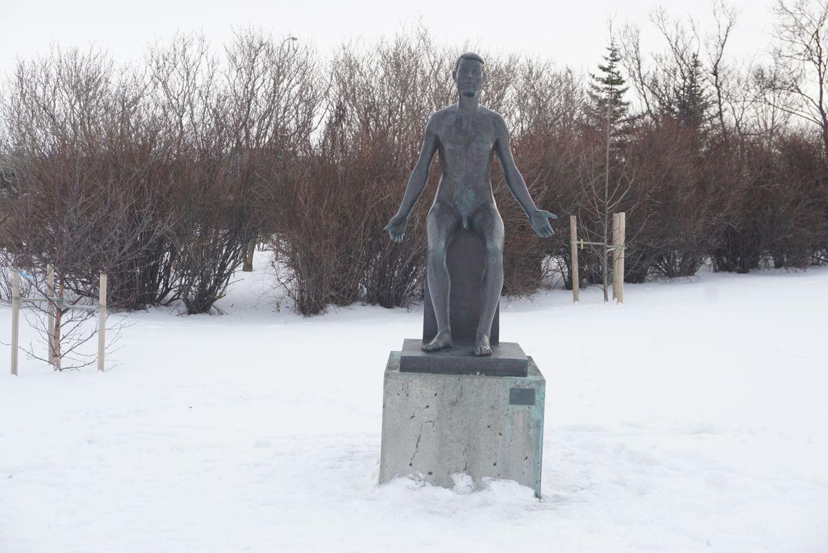 Tjörnin Pond – Reykjavík City Lake photo 6