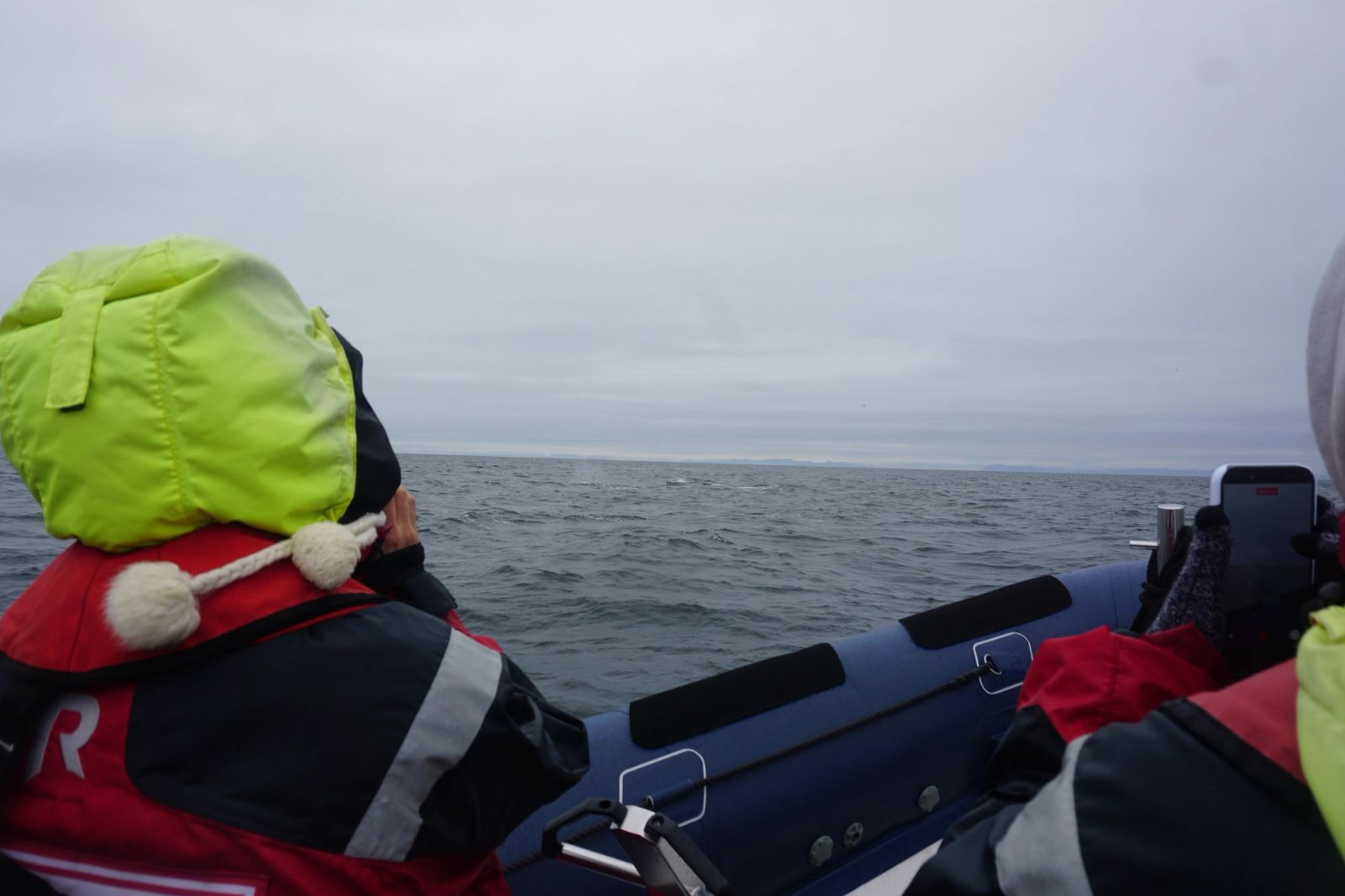 Rib safari