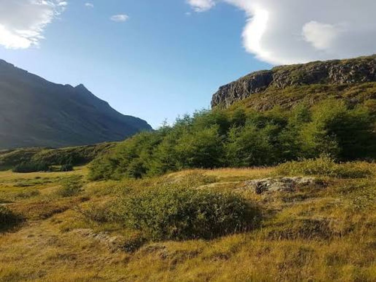Haukafell in east-iceland