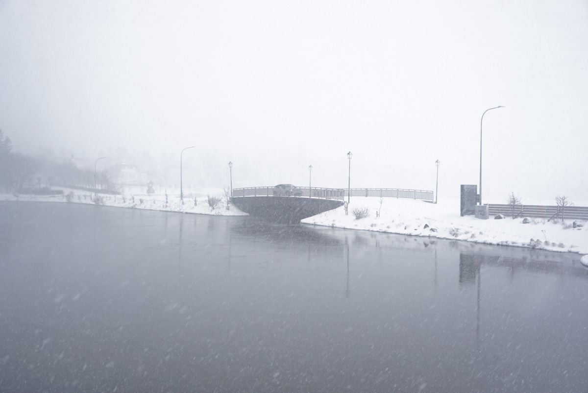 Tjörnin Pond – Reykjavík City Lake photo 7