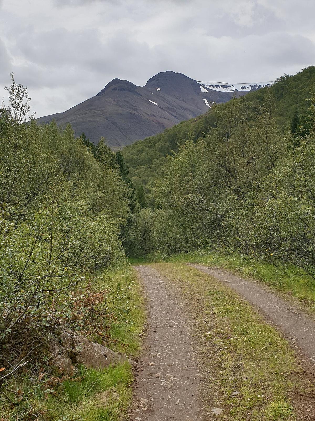 Leyningshólar
