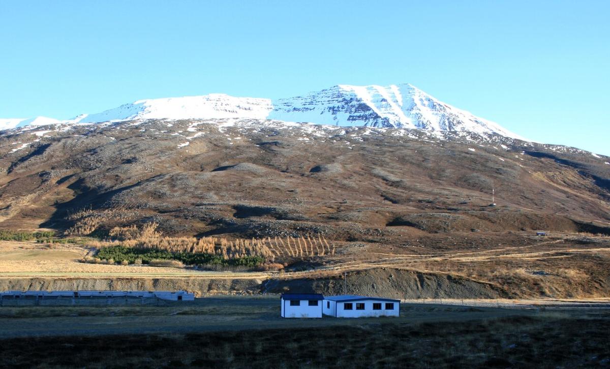 Urðarhólar