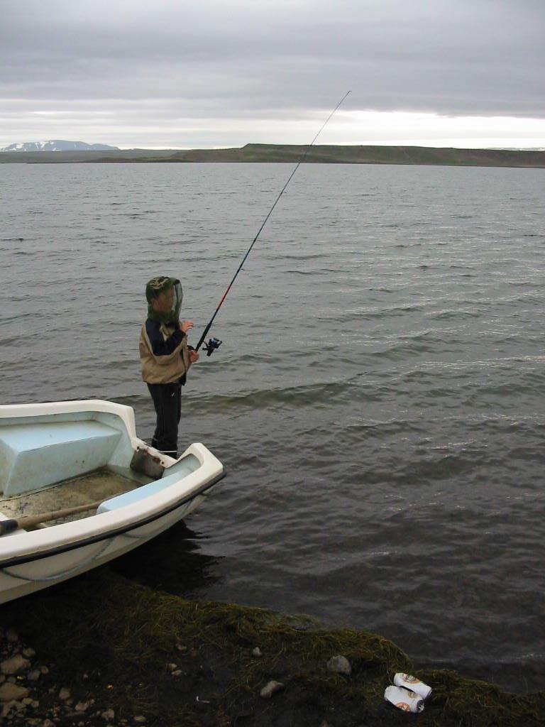 Arnarvatnsheiði