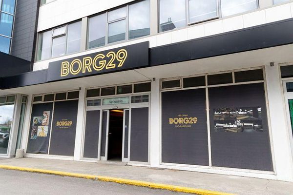 BORG29