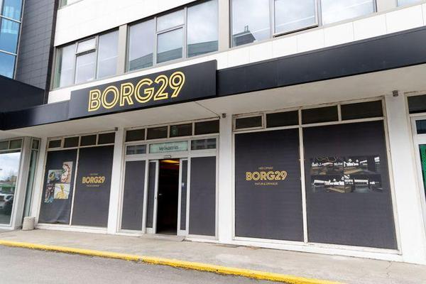 BORG29
