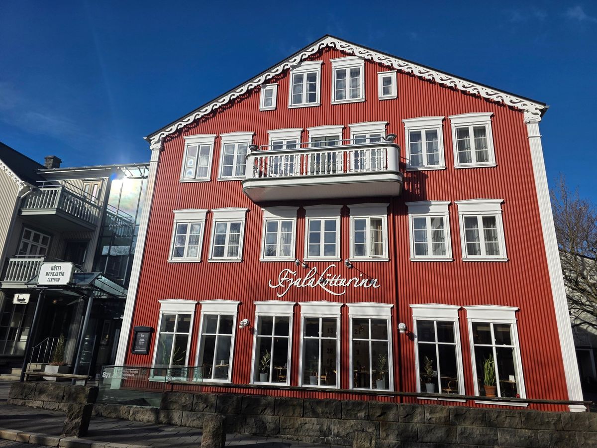 Fjallakötturinn