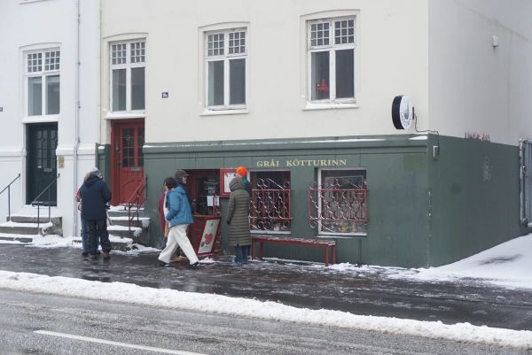 Grái kötturinn