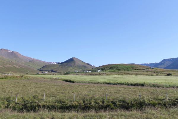 Barð