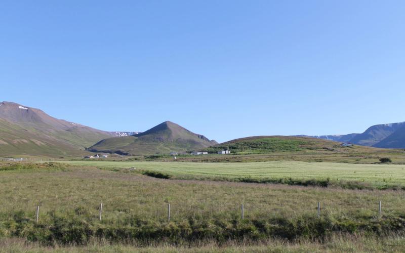 Barð