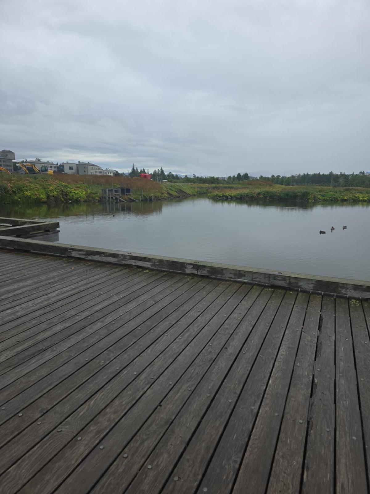 Pond by the Nordic House, Reykjavík in capital-region