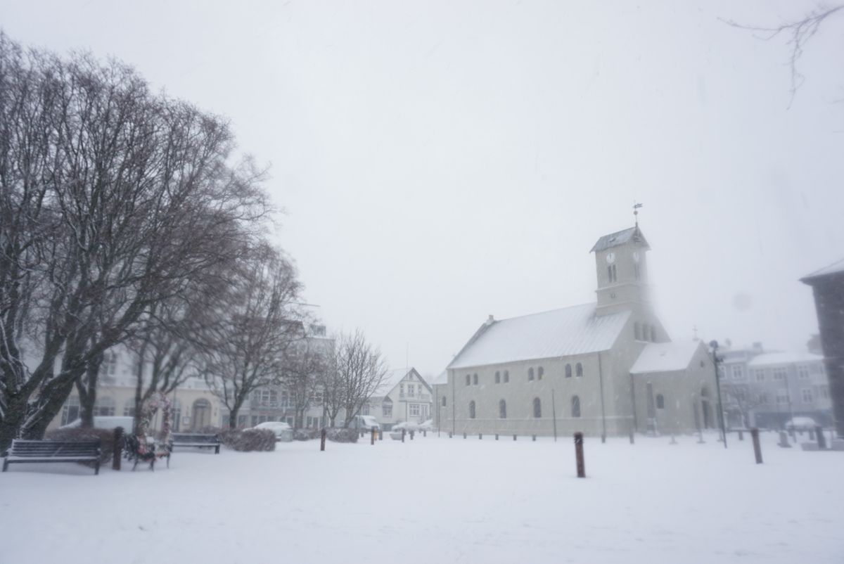 Dómkirkjan í Reykjavík (Reykjavík Cathedral) photo 5