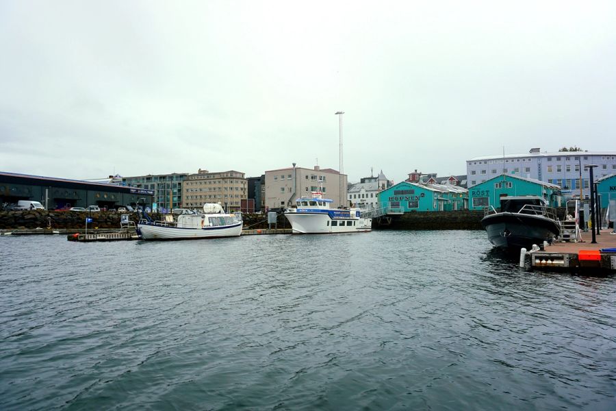 Whale Safari Reykjavík – Okkar RIB hvalaskoðunarupplifun