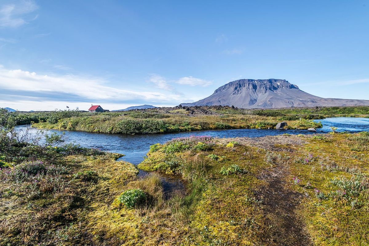 Herðubreiðarlindir in highlands — photo 2