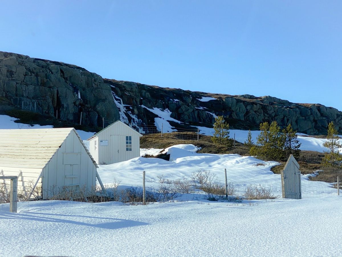 克亚瓦尔斯瓦姆 in east-iceland — photo 2