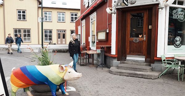 Saeta Svínid Gastropub