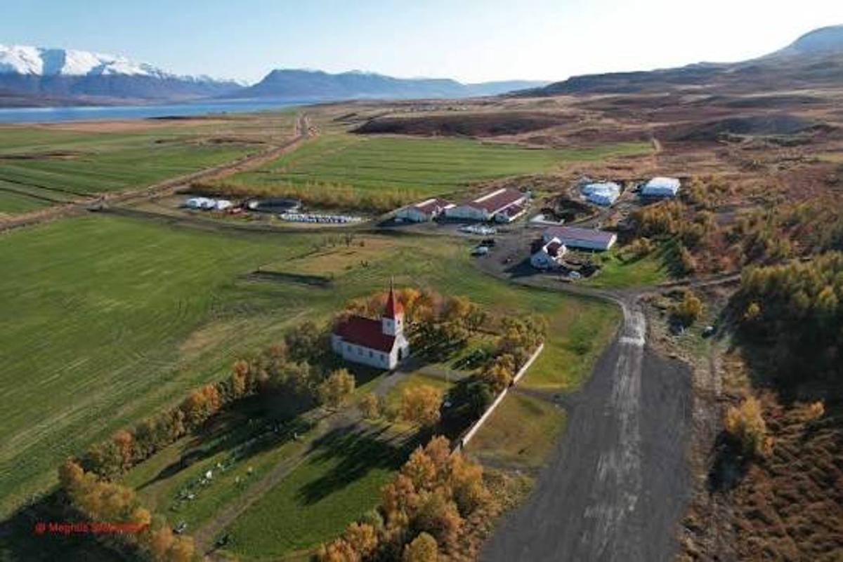 Árskógur in north-iceland