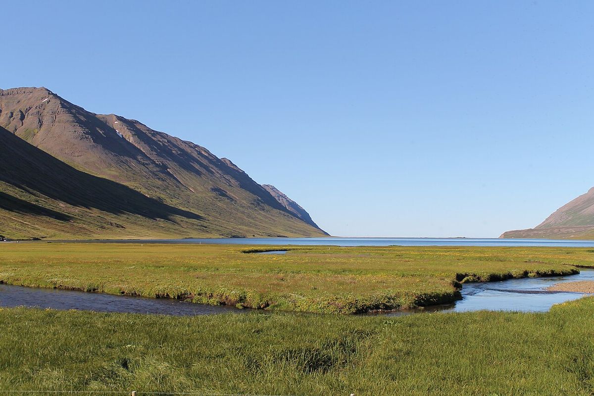 Flugslys í Héðinsfirði