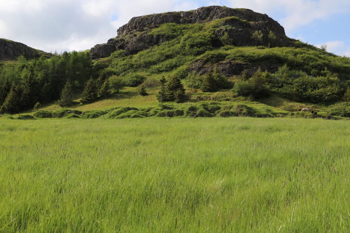 Haukafell in east-iceland — photo 1