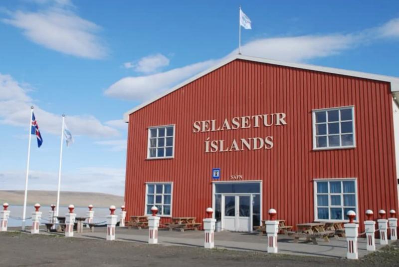 Selasetur Íslands (Seal Center)