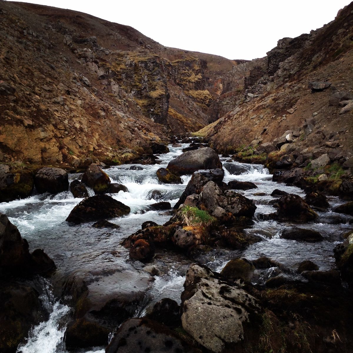 Brimnesá in north-iceland — photo 2