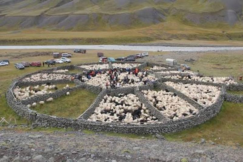 Hlíðarrétt