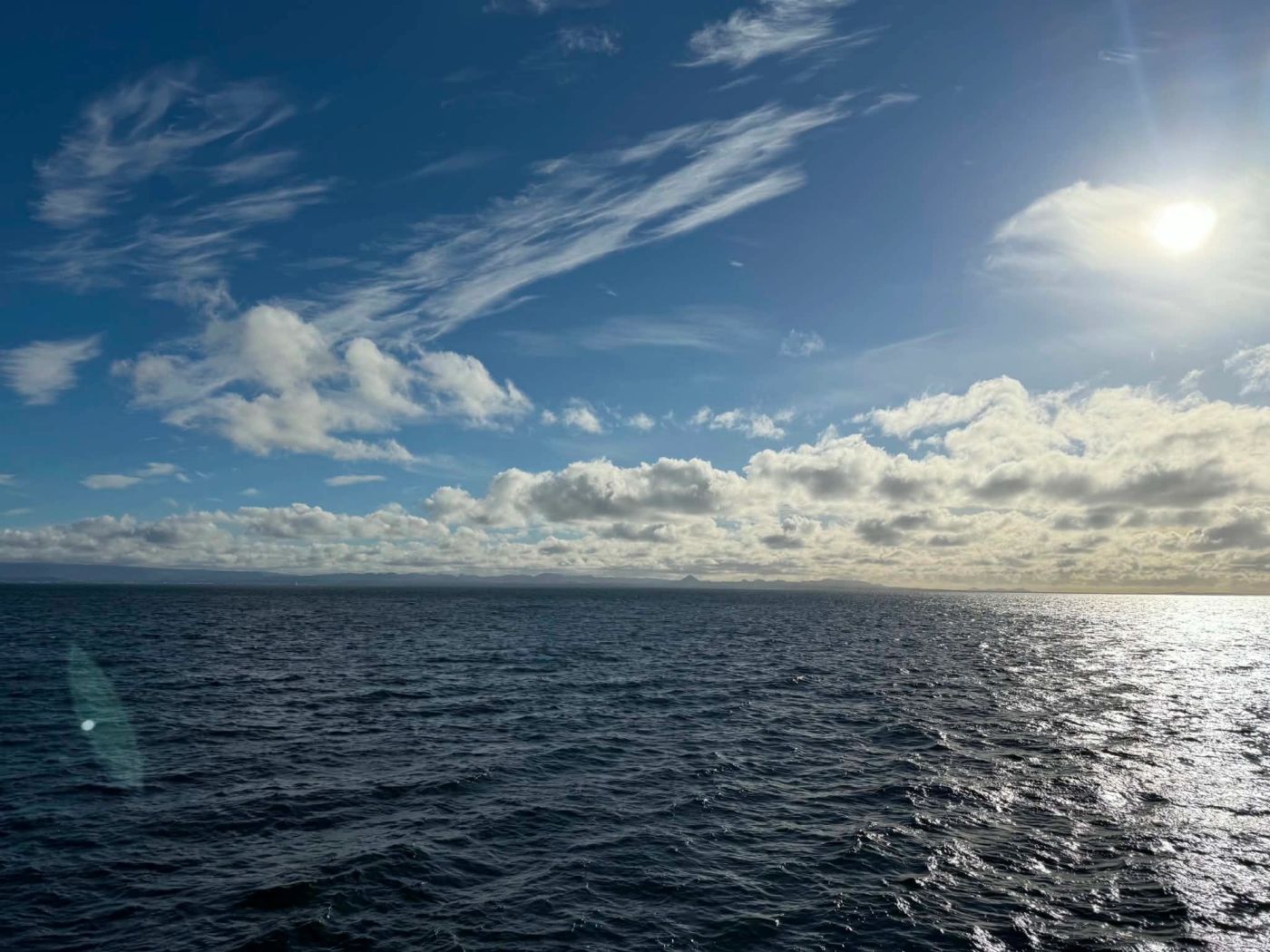 Avistamiento de Ballenas desde Reykjavík – Nuestra Experiencia con Special Tours