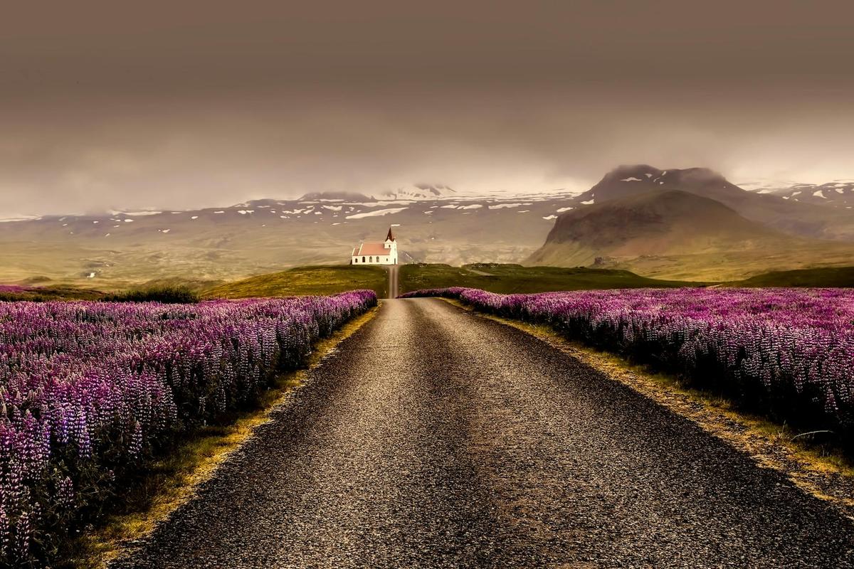 Hallormsstaðaskógur