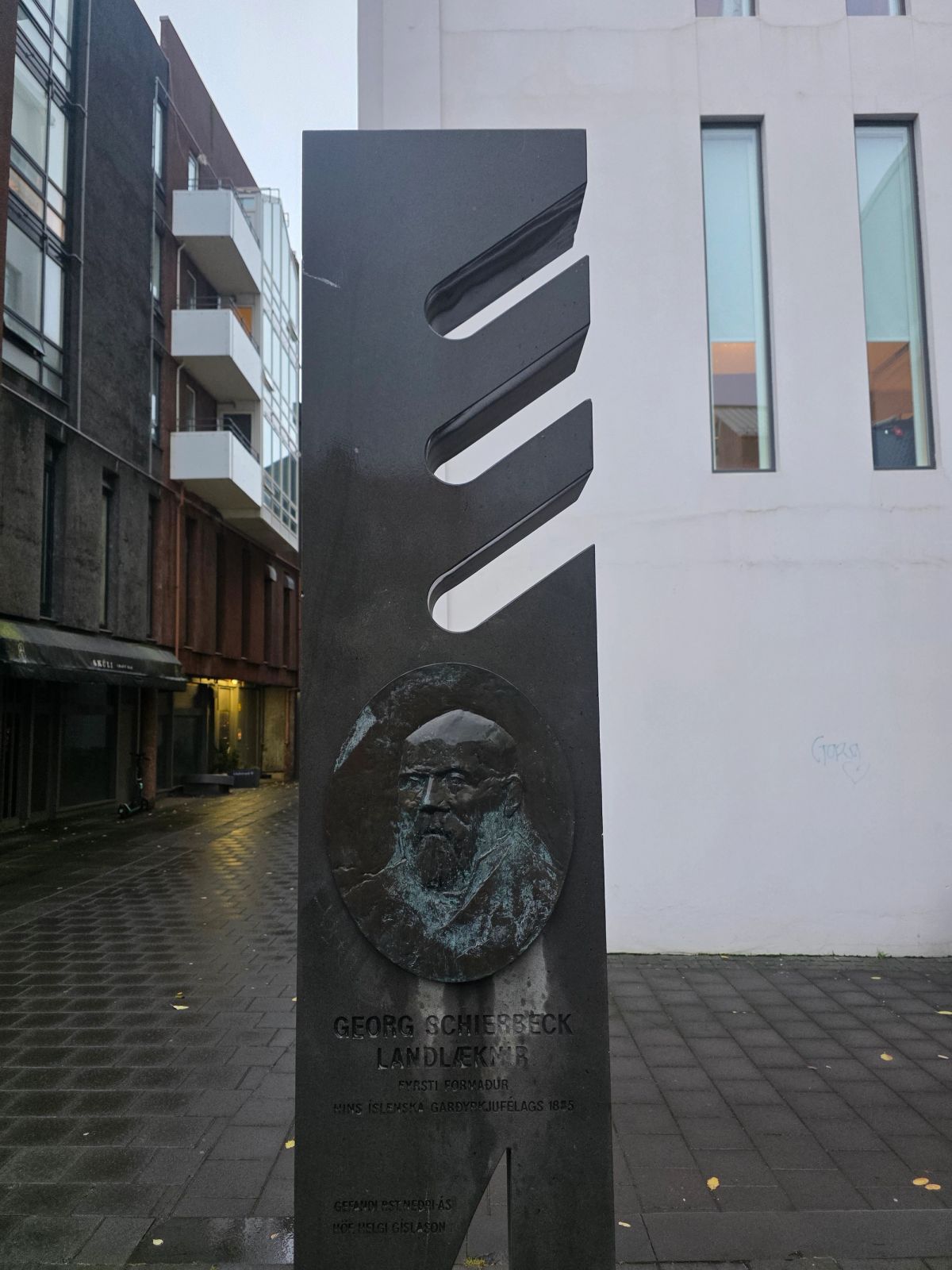 Monumento a Georg Schierbeck, Director de Sanidad in capital-region — photo 2