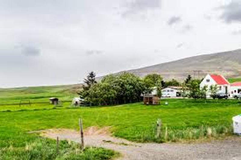 Bjarteyjarsandur Campsite