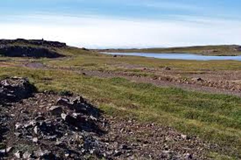 Dagverðarnessel