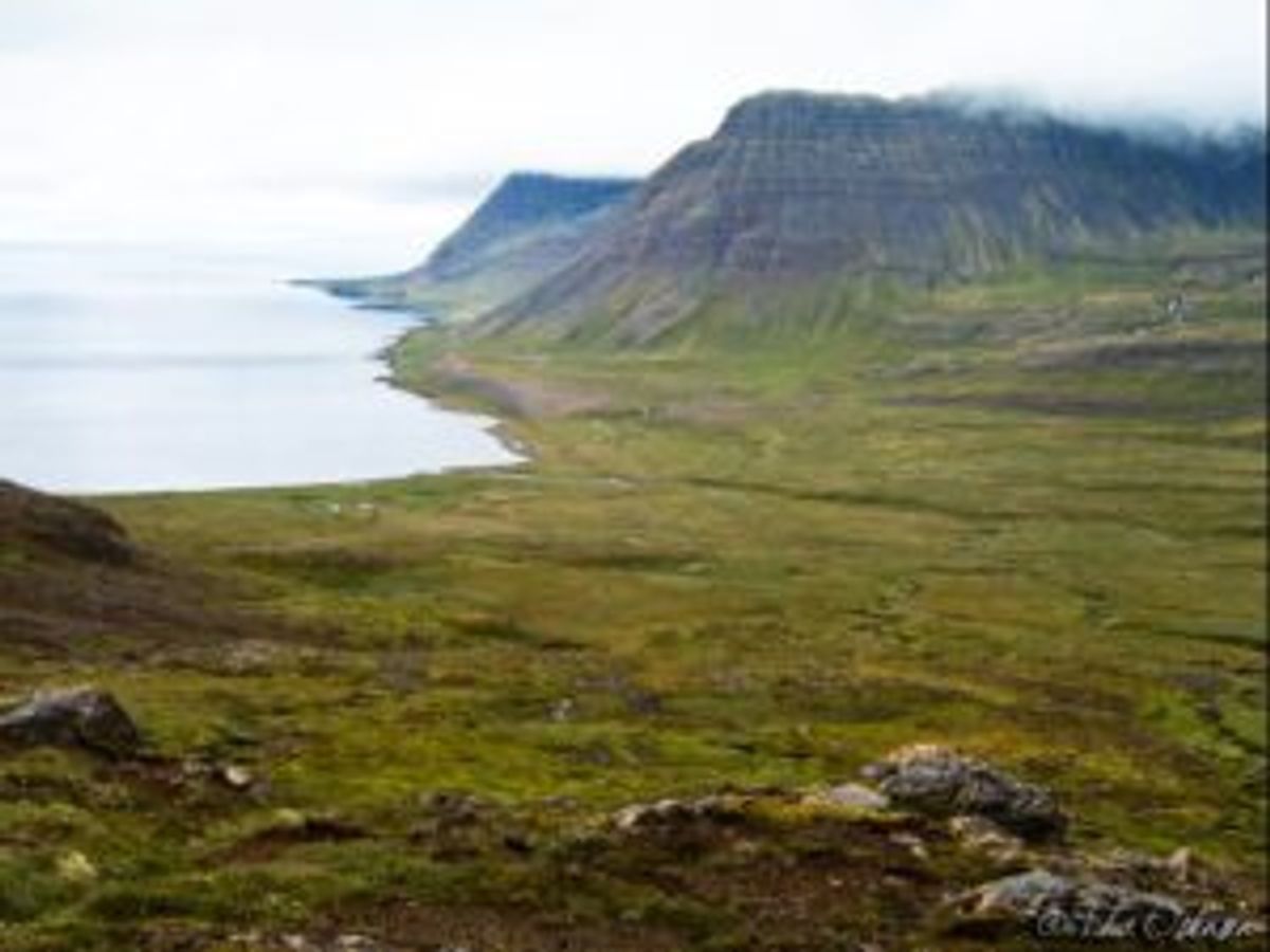 Jökulfirðir in westfjords — photo 1