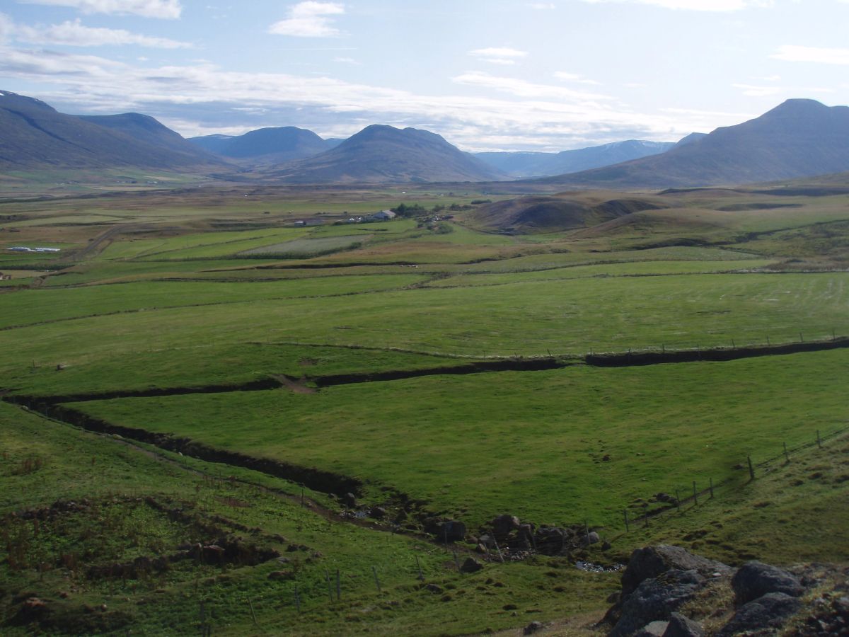 Möðrufell