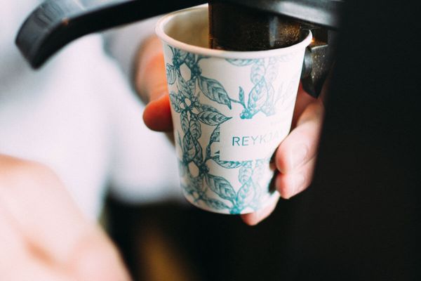 Reykjavík Roasters - Gerðarsafn
