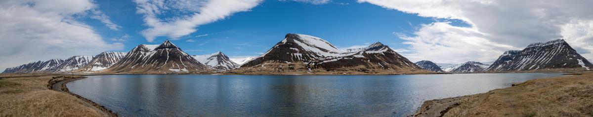 Skógarhorn