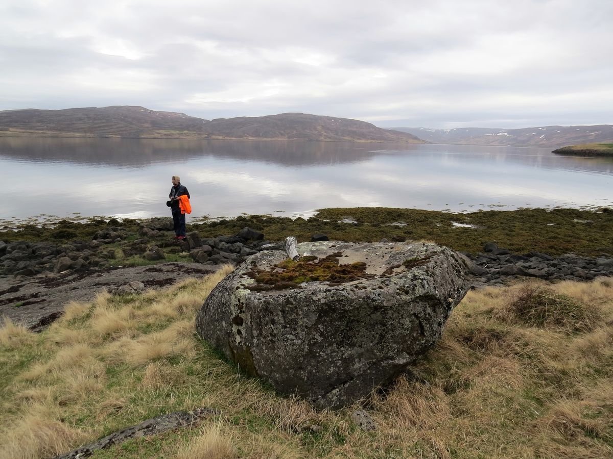Selkollusteinn in westfjords