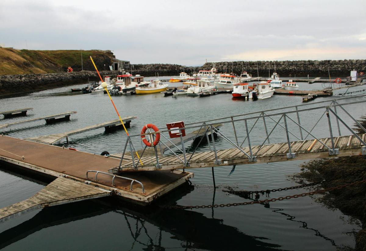 Kvika