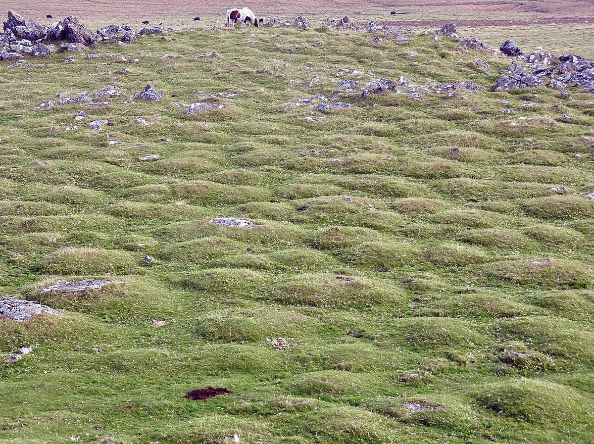 Þúfa