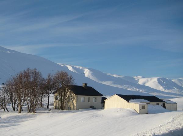 Gröf