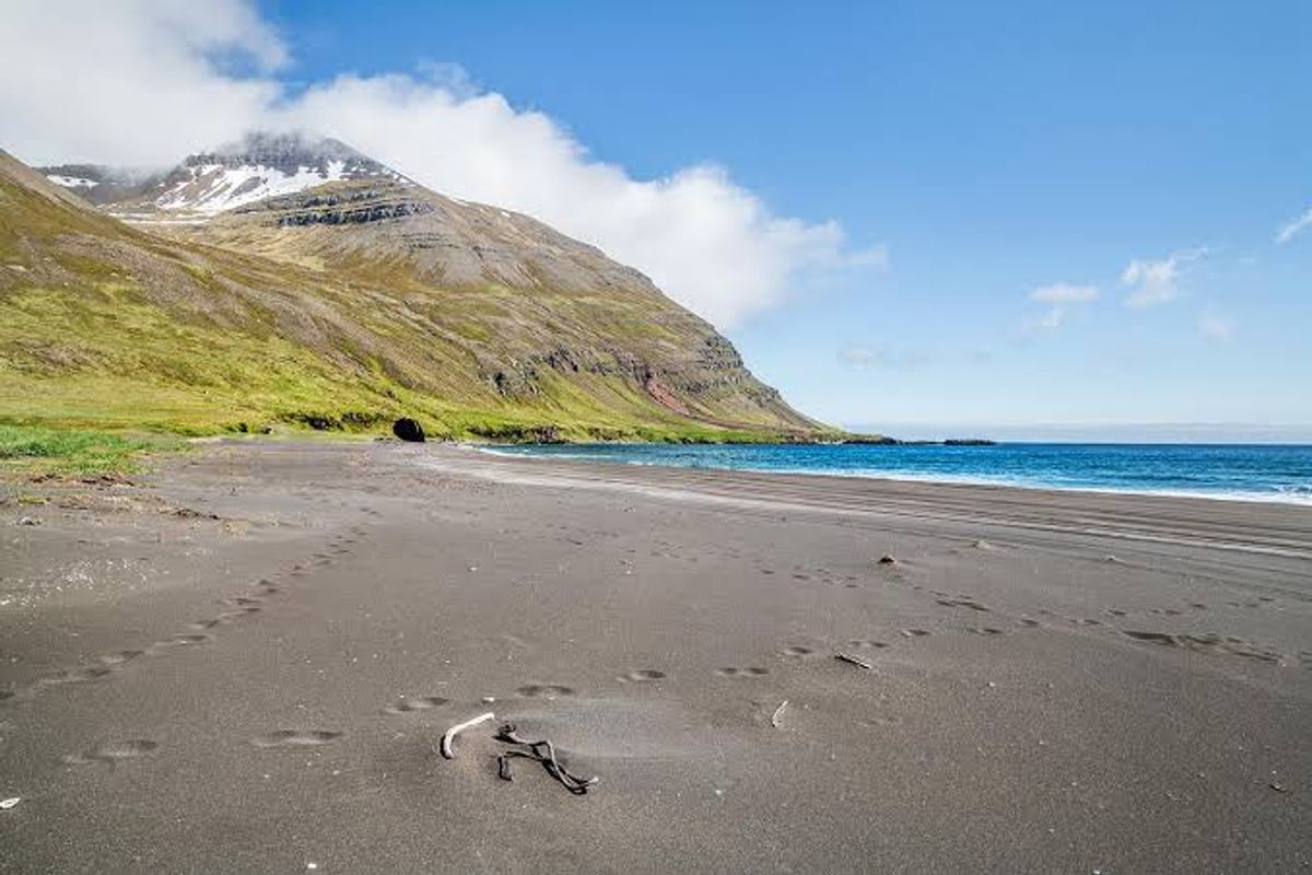 Vaðlasandur in east-iceland