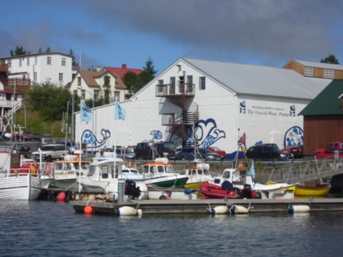 Husavík Whale Museum photo 2