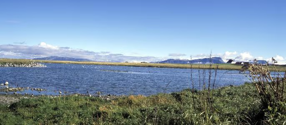Bakkatjörn in capital-region — photo 2