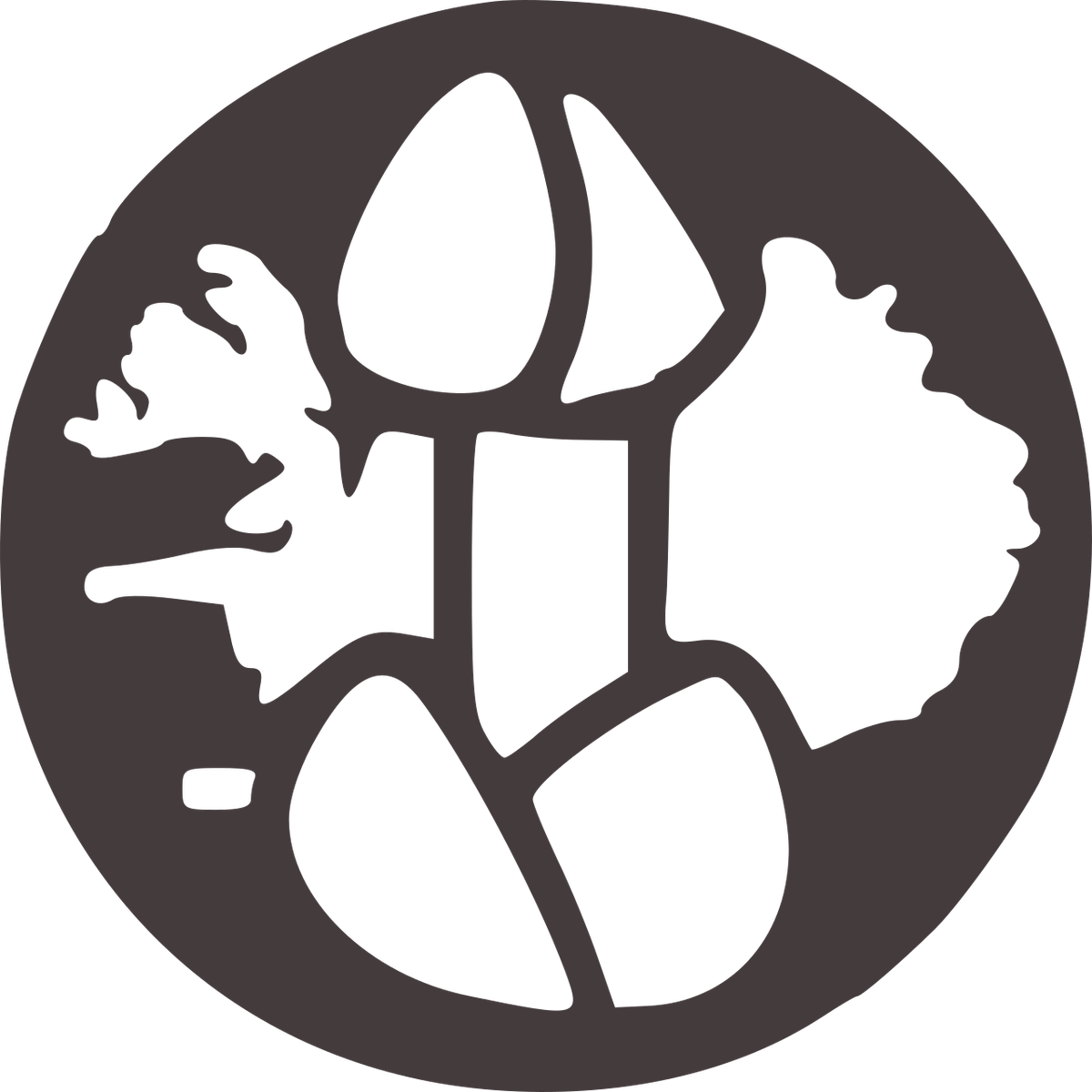 Icelandic Music Museum