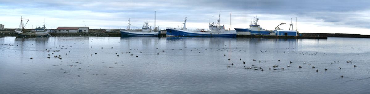 Höfnin í Grindavík in reykjanes — photo 1