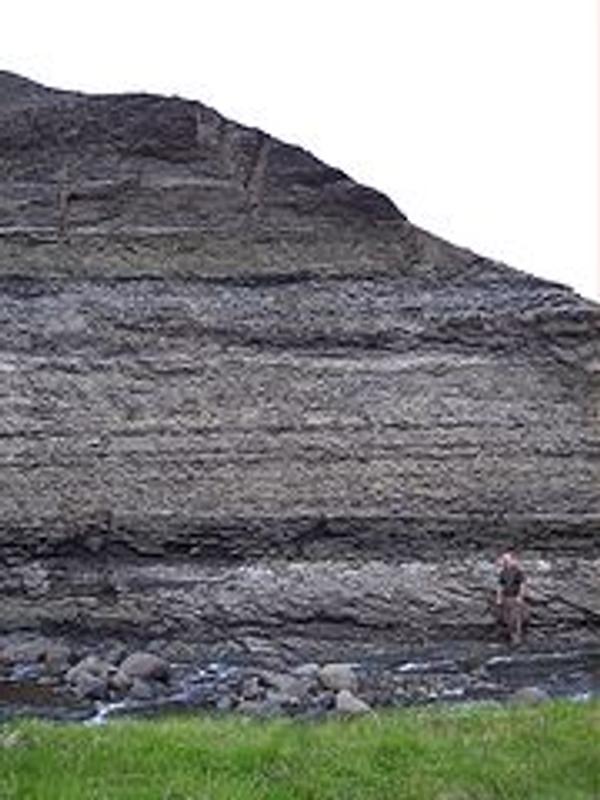 Tjörnes Fossil Layers
